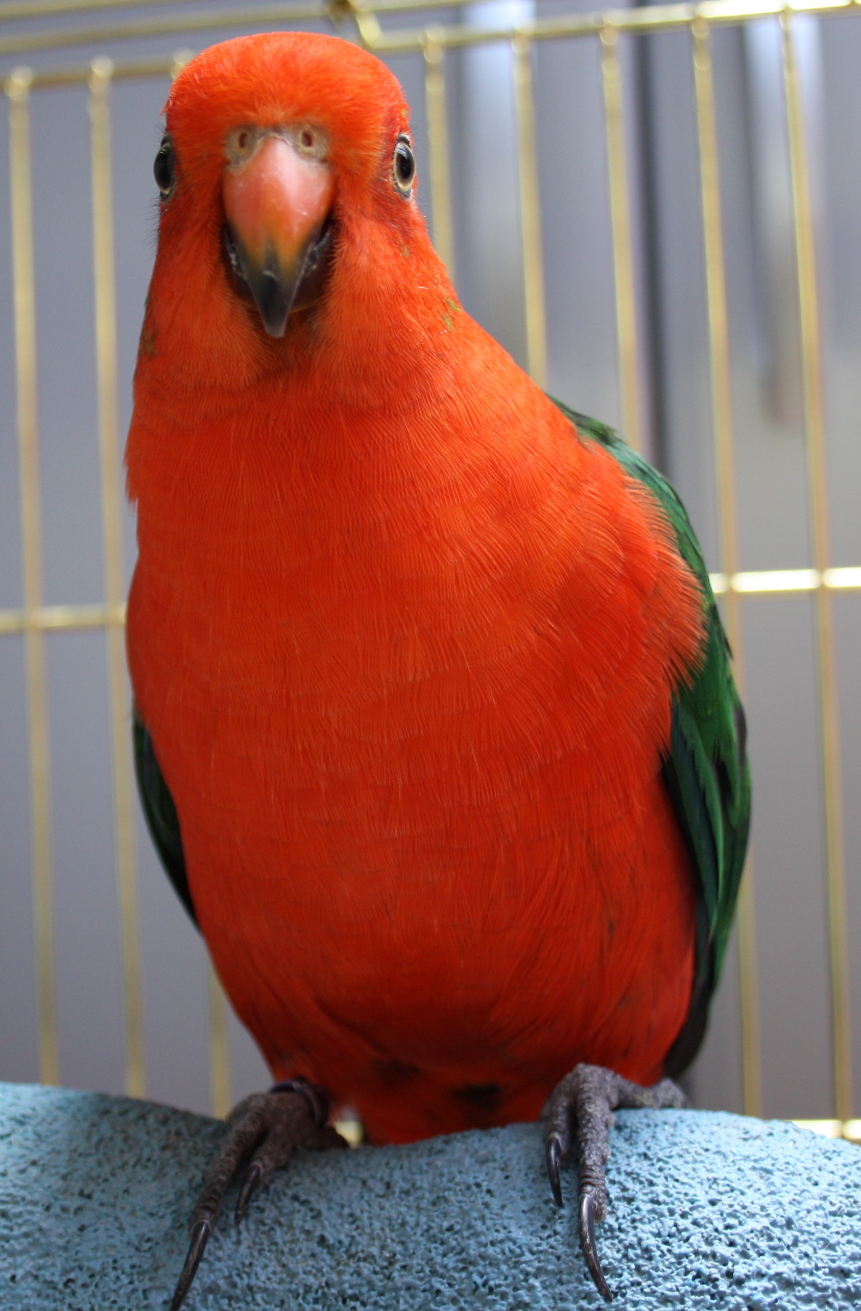 img-3133.jpg img-3133.jpg